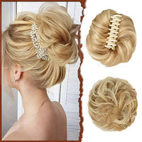 Lightest Brown/Bleach Blonde